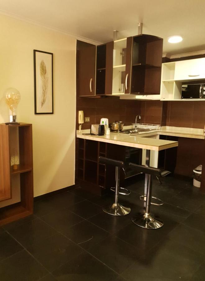 Departamento Con Terraza R&M Apartment Santiago Exterior photo